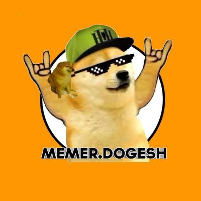 Aditya's profile picture