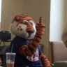 Mr.Toomers Corner.'s profile picture