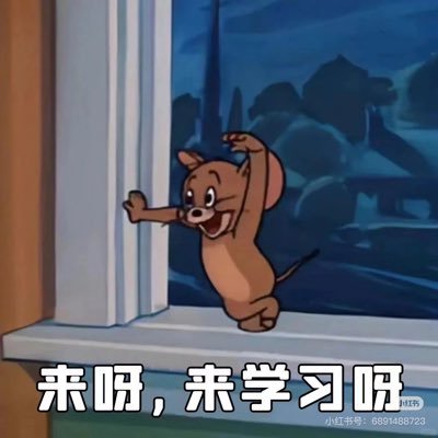 你说呢's profile picture