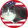 KattVonKitten's profile picture