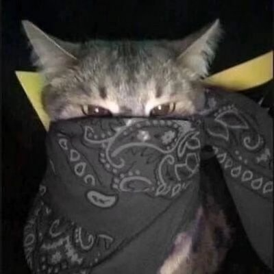 restvck's profile picture