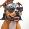 Roman Pitbull 的头像