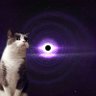 Σ83 profil fotoğrafı