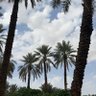 عبدالرحمن's profile picture