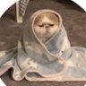 SM's profile picture