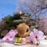 ぷりぃ3 的头像