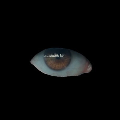 M1ndlessWatcher's profile picture