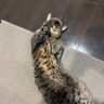 Фото профиля 暇な人