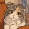 よぴ🐯 profil fotoğrafı