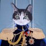 Profilbild von CommanderCat