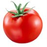 tomato's profile picture