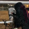 شهد's profile picture