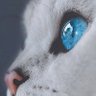 Yuli's profile picture