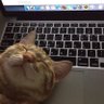 - إبراهيم profil fotoğrafı