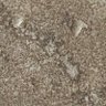Aardvark Erickson profil fotoğrafı