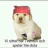 Profilbild von Lee Strong