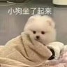 12345qwq3 的头像
