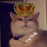 Profilbild von Wise Rocky𓂀𓆃