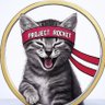 PRQJECT RQCKET😺🚀 profil fotoğrafı