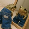 Profilbild von Boulf 🐸 🇺🇸