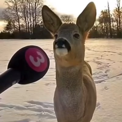 washedonPC's profile picture