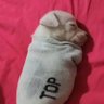 Фото профиля lucas