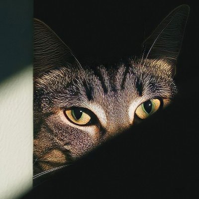 Teeegra's profile picture