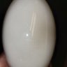 Skitso74 的头像