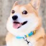 Migue's profile picture