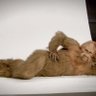 squatchfan 的头像