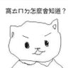 Profilbild von 窩不知道