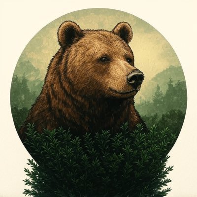 WİLD TR's profile picture