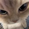 jie’s 的头像