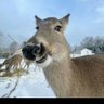faye's profile picture