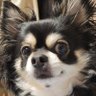 Profilbild von 那珂キン