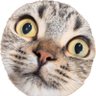 Profilbild von So0124