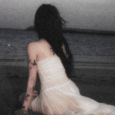 tellusboutur's profile picture