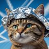Фото профиля Targeted Free Individuals