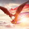 Profilbild von PaddieMcTrump_1776