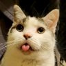 Eddie B.'s profile picture