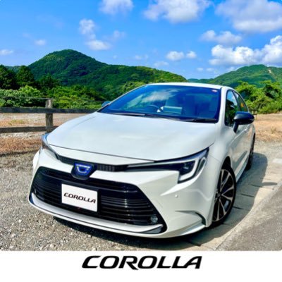 Ryo_カローラ日記's profile picture