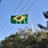 Gih💚💛💚💛💚💛💚💛💚💛💚💛🇧🇷 profil fotoğrafı