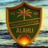 💚👑💚 hala 💚 profil fotoğrafı