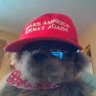 David Hollar's profile picture