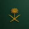 Ahmed's profile picture