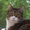 Profilbild von B...