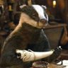 Profilbild von Buscatrufas
