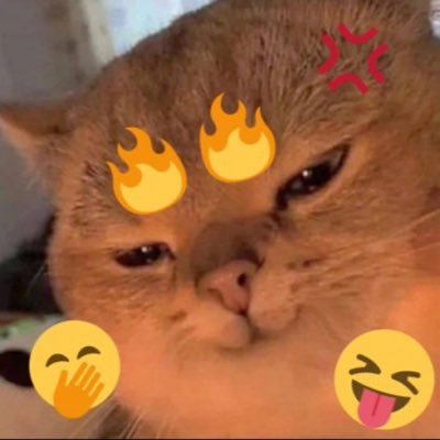 z2JGlidJ9o64036's profile picture