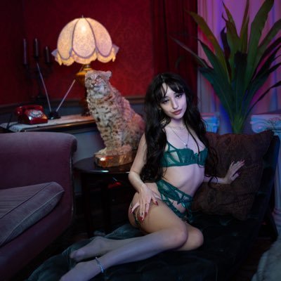 ronnie 💌 newcomer 🫧's profile picture