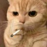 deptraimuicaoo's profile picture